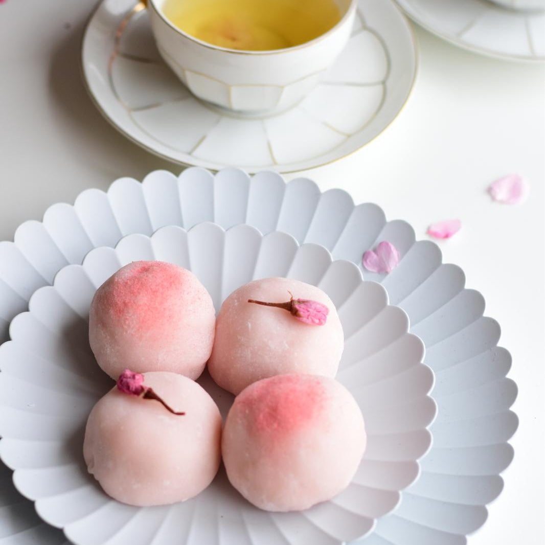 Mochi Workshop - Spring Edition – And AN.