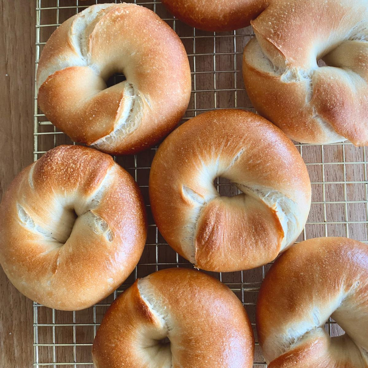 ベーグルワークショップ｜Bagel-Making Workshop  | Tuesday, January 20 | 10:30 AM (3 hours) Lunch included · Take-home dough provided