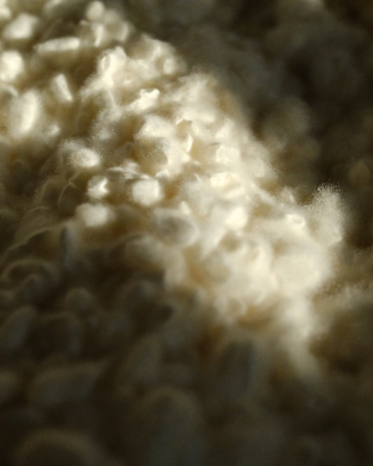 Miso Making Workshop with Midegain